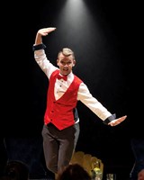 Oslavy stepu a světelné show