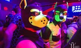NEON Pride Edition