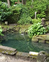 Japonsko – země, která nám může změnit pohled na život
