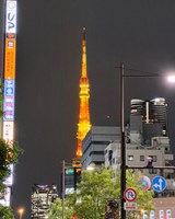 Japonsko – země, která nám může změnit pohled na život