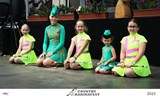 10. Country Kaninafest