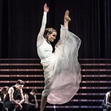 PFDH Olomouc