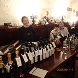 GASTRO - víno, které chutná Brnu