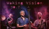 Waking Vision