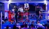 Box Night II