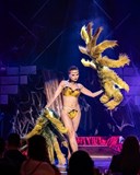 Burlesque Open Class