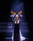 Burlesque Open Class