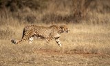 Namibie