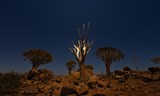 Namibie