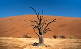 Namibie