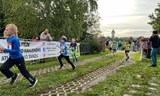 Plzeňský kardioběh