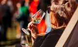 Fejkové vinobraní na zkoušku 2026