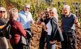 Fejkové vinobraní na zkoušku 2026