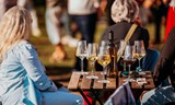 Fejkové vinobraní na zkoušku 2026