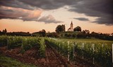 Fejkové vinobraní na zkoušku 2026