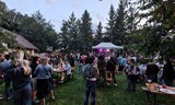 Slepí Křováci | live music