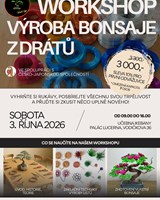 Workshop: výroba bonsaje z drátů