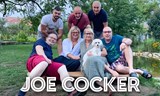 Joe Cocker Forever