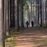 HOUBAŘSKÝ KURZ pro mírně pokročilé s DANIELOU