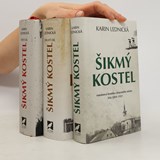 BESEDA S KARIN LEDNICKOU