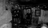 Jungle Debris // Ponava
