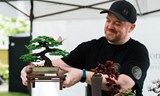Workshop: výroba bonsaje z drátů