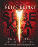 Léčivé účinky sebeklamu