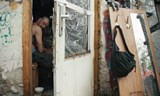 FILMOVÝ KLUB - Kdyby se holubi proměnili ve zlato