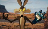 KINO dny - Kojot vrací úder