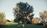 TADY VARY - Milovník, ne bojovník
