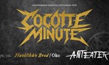 Cocotte minute / Klub Oko