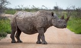 Botswana a Namibie