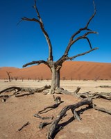 Botswana a Namibie