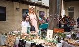 Mycellium Market