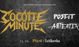 Cocotte Minute - rádi bychom se proslavili, než umřeme tour.