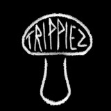 Random Choices / Trippiez / Sonaata