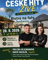 České hity živě
