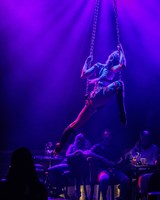 Cirkus des Péchés: Prachy, Samet a Gin