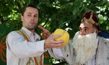 Pták Ohnivák a liška Ryška