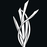 Tukino 2026 / PŘEDÁNÍ ocenění TUKINO VISIBILITY AWARD