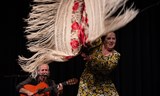 FLAMENCO večer