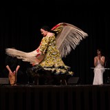 FLAMENCO večer