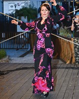 FLAMENCO večer
