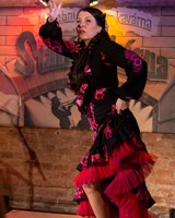 FLAMENCO večer