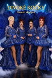 Travesti show Divoké kočky Karlovy Vary