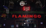 Disco Flamingo - Retro párty