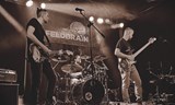 Feedbrain