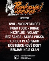 Punkovej večírek