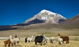 Bolivijské Andy - cestou nad oblaky