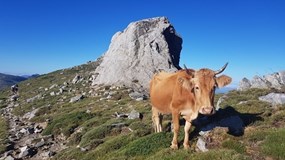 Corsica - GR20